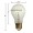 25 watt A19 Clear